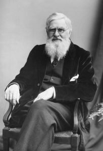 Alfred Russel Wallace in 1895